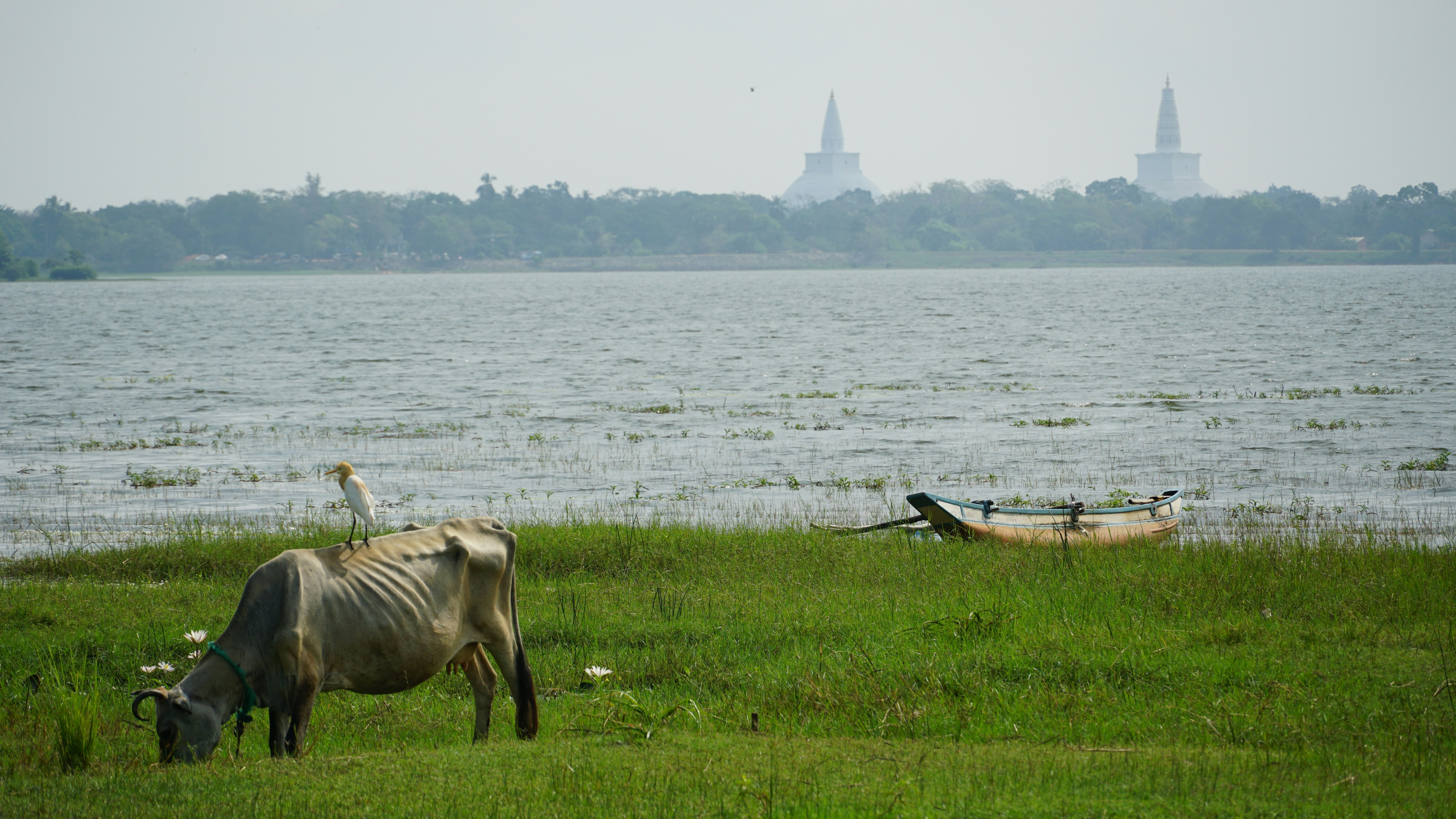 Anuradhapura